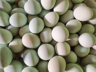 salted egg photo taken up close
