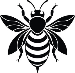 black and white bee