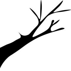 Spooky Tree Branches