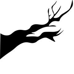 Spooky Tree Branches