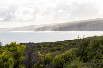 Flinders Chase National Park, a protected area located at the west end of Kangaroo Island in Australia; Adelaide, South Australia, Australia.