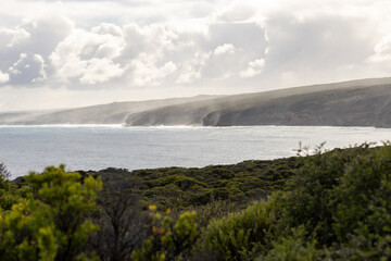 Flinders Chase National Park, a protected area located at the west end of Kangaroo Island in...