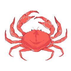 Crab illustration