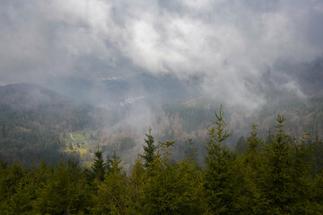 Misty Morning Overlook at Nationalpark Schwarzwald, Black Forest National Park