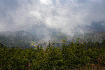 Misty Morning Overlook at Nationalpark Schwarzwald, Black Forest National Park