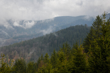 Misty Morning Overlook at Nationalpark Schwarzwald, Black Forest National Park