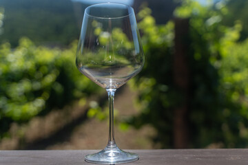 A wine glass, empty on a wooden table in front of the Vineyards, is waiting for the grapes to ripen and the wine tasting. Selected focus.