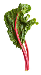 Falling Curly Swiss Chard isolated on white background, full depth of field, transparent png background