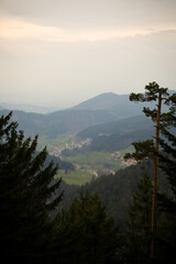 Nationalpark Schwarzwald, Black Forest National Park