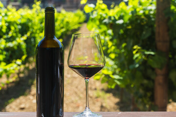 A glass and bottle of red wine stands on a rustic table, against the background of a vineyard stretching into the distance, basking in the sun in a picturesque setting.