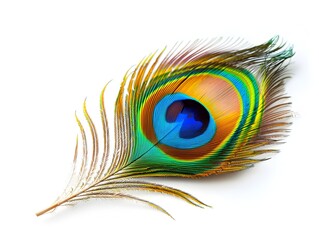 Vibrant Peacock Feather on Pristine White Background with Ample Copy Space © Thares2020