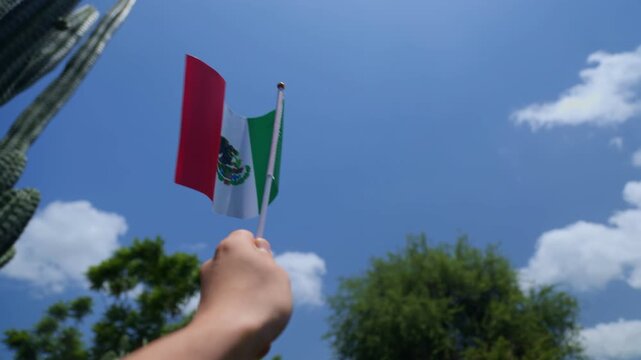 hand of a man waving a mexican flag