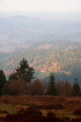 Fototapeta premium Misty Morning Overlook at Nationalpark Schwarzwald, Black Forest National Park
