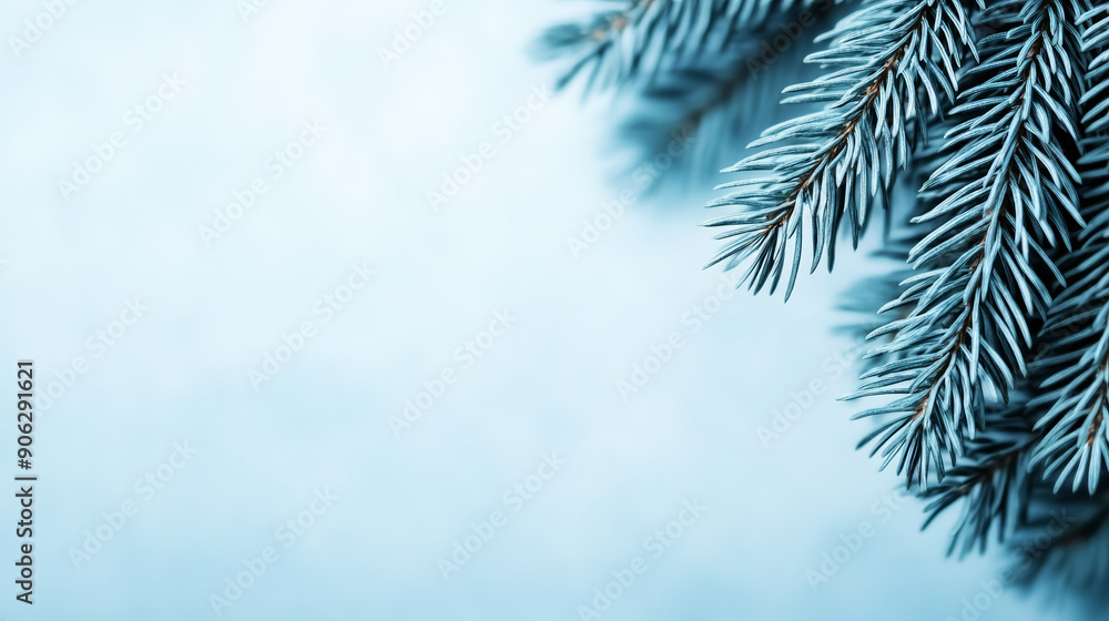 Poster simple background with a blue ornament, subtle pine branch at the top, soft gradient backdrop, ample