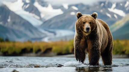 Obraz premium Brown bear Ursus Arctos stands in the water behind mountains Katmai National Park Alaska USA : Generative AI