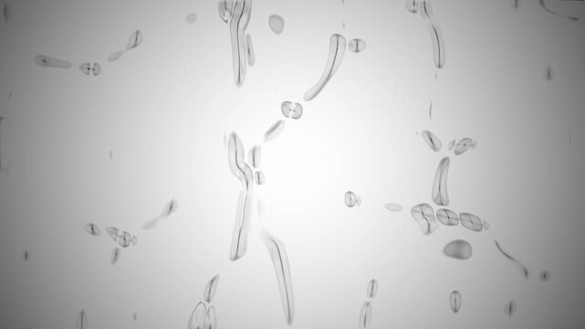 Floaters, black dots