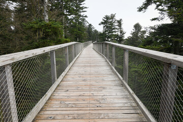 The Elevated Hiking Path of Baumwipfelpfad Schwarzwald, in the Black Forest