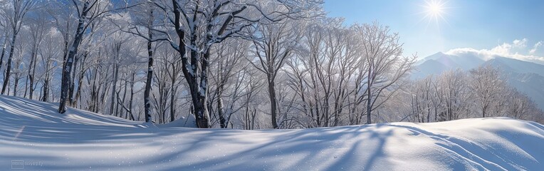Obraz premium Tranquil Winter Wonderland Snow Covered Pines and Serene Sky