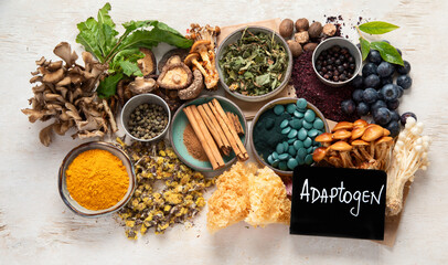 Adaptogen healthy food. Herb and spice collection on light background