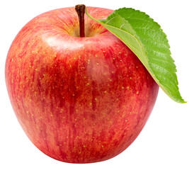 Crispy Potato chips fly in the air isolated on white background, Potato chips on white PNG File.