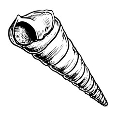 Sea shell sketch hand drawn. The shells of sea creature is seashell. Turritella underwater snail, gastropod. Summer holiday on the beach. Vector graphics illustration.