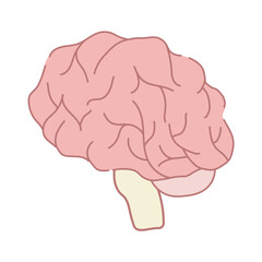 Brain illustration