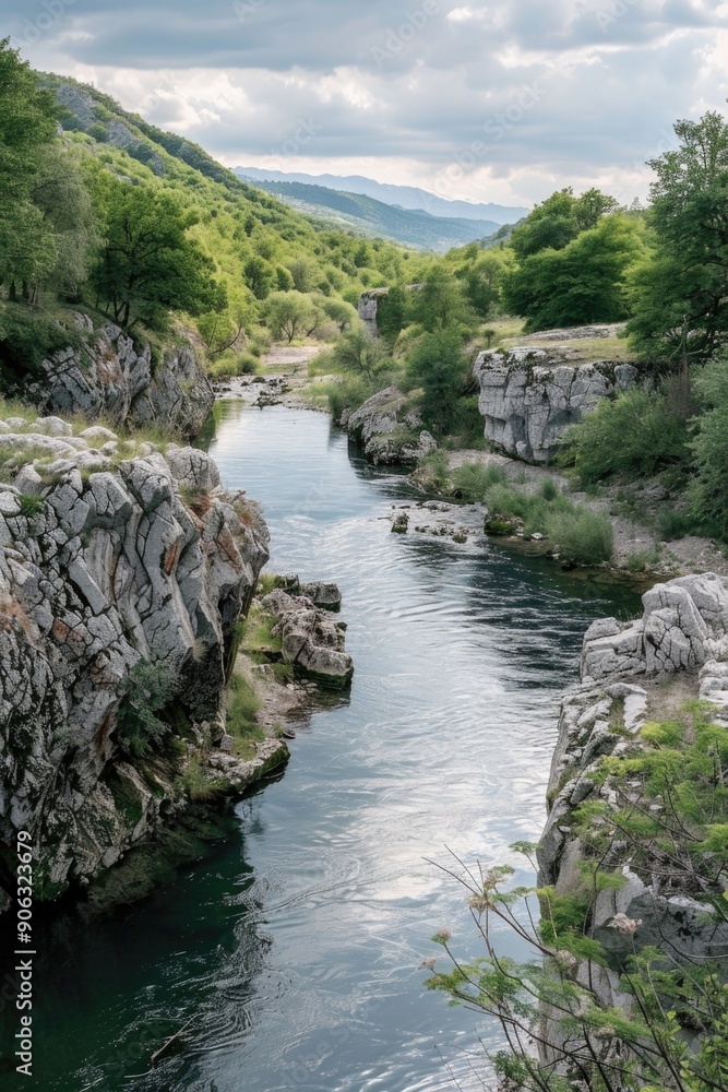 Wall mural River flowing through dense forest