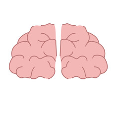Brain illustration