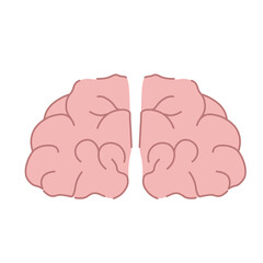 Brain illustration