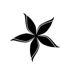 Doodle flower leaf line decoration boho simple inspired by jasmine that can be used for sticker, book, scrapbook, icon, decorative, e.t.c with aesthetic black colorful color