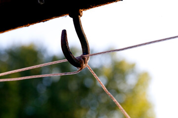line hook in the sun