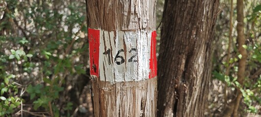 Markierung für Wanderweg