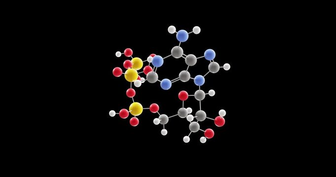 Adenosine triphosphate molecule, rotating 3D model of atp, looped video on a black background
