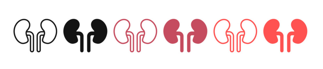 kidney icon