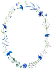 Watercolor blue cornflowers and wildflowers oval frame, summer wedding isolated illustration