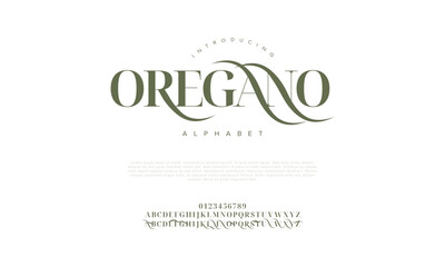 Oregano swash luxury elegant alphabet letters and numbers. Vintage wedding typography classic serif font decorative vintage retro. creative vector illustration