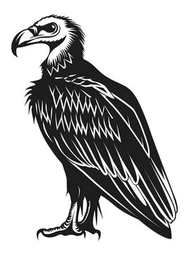 recommend clip art: Black silhouette of Vulture bird illustration icon for logo, isolated on white background