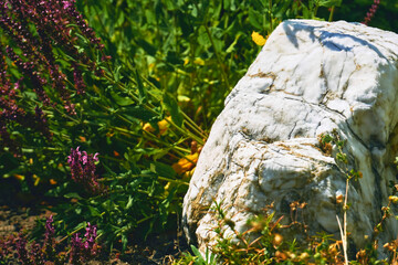 White marble stone among flowers, element of design and landscaping