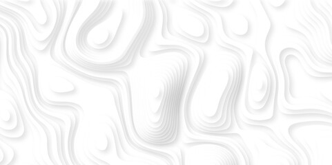 Abstract white paper cut background with lines. Background of the topographic map. White wave paper curved reliefs abstract background. Realistic papercut decoration textured with wavy layers.