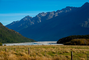 Kunekune Pig in Deer Park Heights - New Zealand