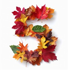 Five Shaped Arrangement of Colorful Autumn Leaves on White Background