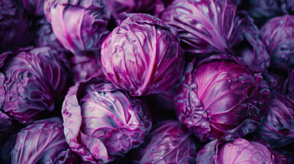 Obraz premium A collection of purple cabbages with striking textures and deep colors, piled together in an appealing composition.