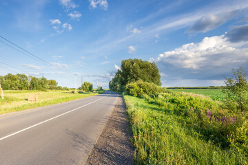 A road with a tree on the side and a field in the background