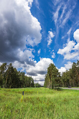 A serene green meadow stretches beneath a bright blue sky adorned with fluffy clouds, bordered by...