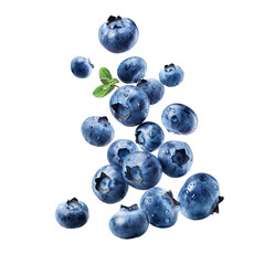 falling Blueberries falling with water splashes isolated on transparent background psd
