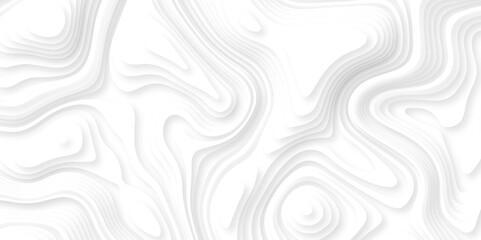 Abstract white paper cut background with lines. Background of the topographic map. White wave paper curved reliefs abstract background. Realistic papercut decoration textured with wavy layers.