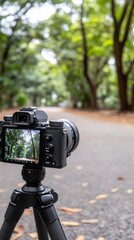 Setting Up a Camera on a Tripod for Nature Photography in a Serene Park