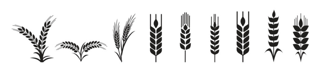 Wheat Icons set Vector illustration