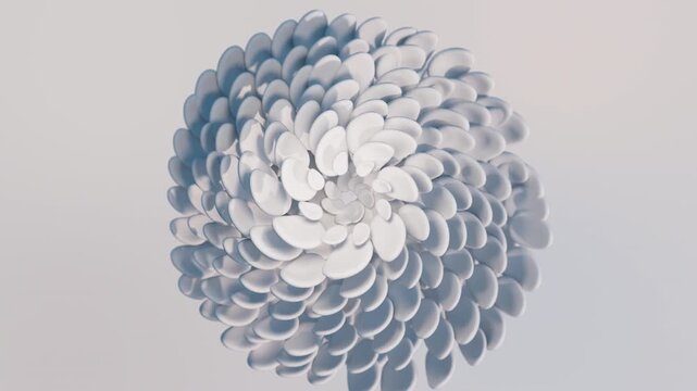 This animation takes you through a 3D flower as its white petals move outward in a hypnotic spiral. The geometric design and minimalist background create a modern, tranquil visual experience.