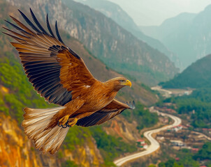 Soaring majestically, a lone eagle surveys its vast green domain.